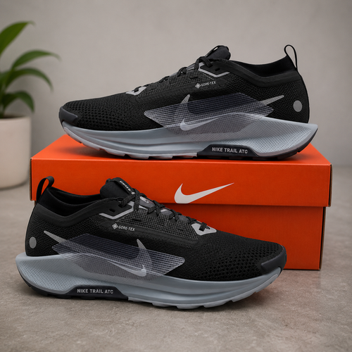 Nike Pegasus Trail GORE-TEX